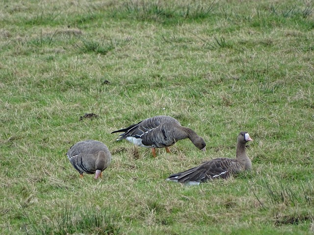 控球能力以 控球能力以