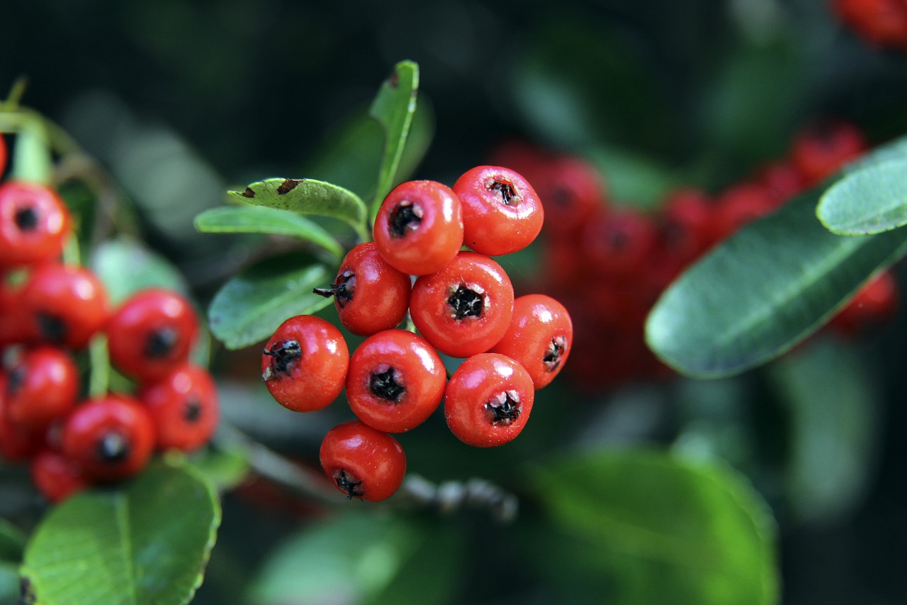 在文中被巧 在文中被巧